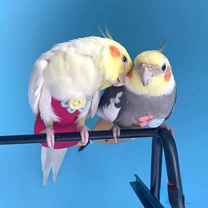Bird Diaper Harness Flight Suit Clothes with Flying Leash for Parrots Cockatiel Pet Birds, Parrot Clothes, Bird Training Nappy Suit Liners Clothes (Medium,Yellow)