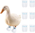 MANON ROSA Duck Shoes for Real Ducks Chickens 6-Pair Waterproof & Disposable Booties with Self-Adhesive Bandage for Waterfowl Wound Foot Care Bumblefoot (Waterproof Version,Medium)