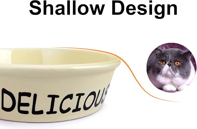 TTcat Ceramic Cat Feeder, 5.1in Shallow Design Food Bowl, Small Pet Dishes for Cats, Kitten, Dishwasher Safe