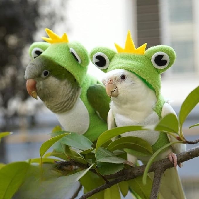 Bird Costume Diaper Flight Suit Frog Shape Hoodie Clothes Cosplay Photo Prop for Parrots Parakeet Cockatiel Sun Conure, Small Animals Apparel (Pink Without Diaper, Medium), Green
