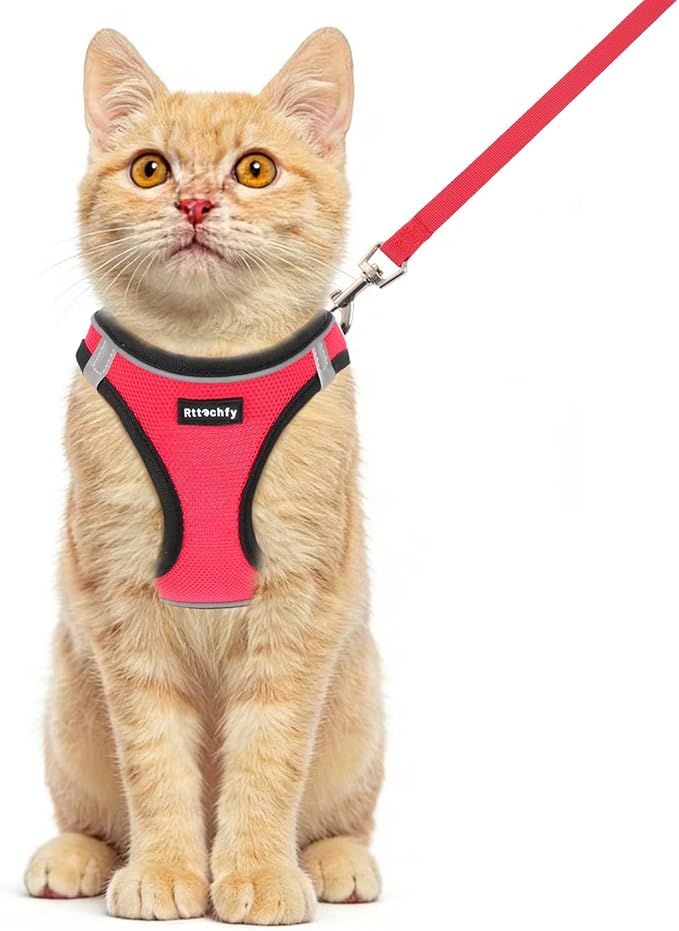 Rttochfy Cat Harness and Leash Set, Escape Proof Kitten Harness, Soft and Breathable Vest with Reflective Strip, Easy to Wear for Cats Walking and Traveling (BK Red, S)