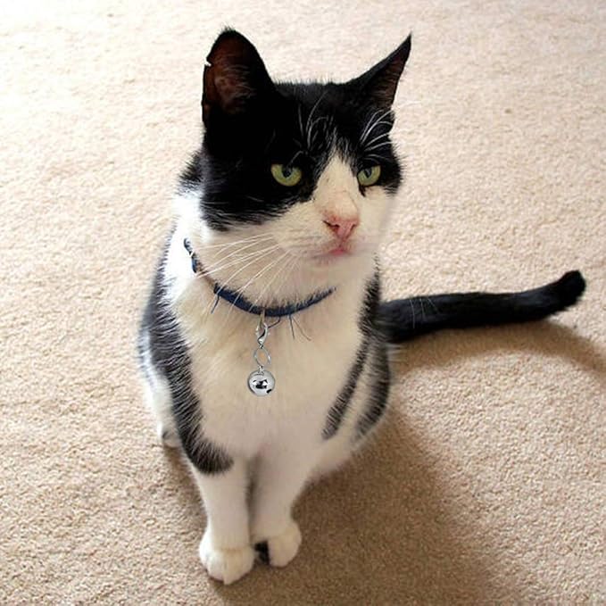 4 Sets Cat Bell for Dog Collar Charm Training Pet Pendant Accessories with 2 Pack Stainless Steel Dog Tag Clips(2 Small Silver)