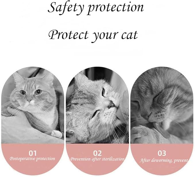 Cat Recovery Suit Female Kitten Onesie for Cats After Surgery Female Spay Surgical Abdominal Wound Skin Diseases Cone Collar Soft Alternative Wear (Cat, S)
