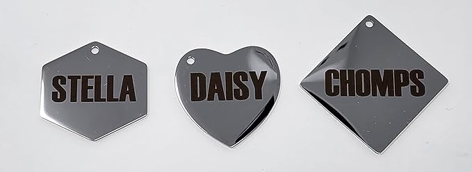Dr. Fremont's Stainless Steel ID Dog Tags Engraved for Pets Personalized for Cat or Dog Collar Bold Font for Safety (Large, Round)