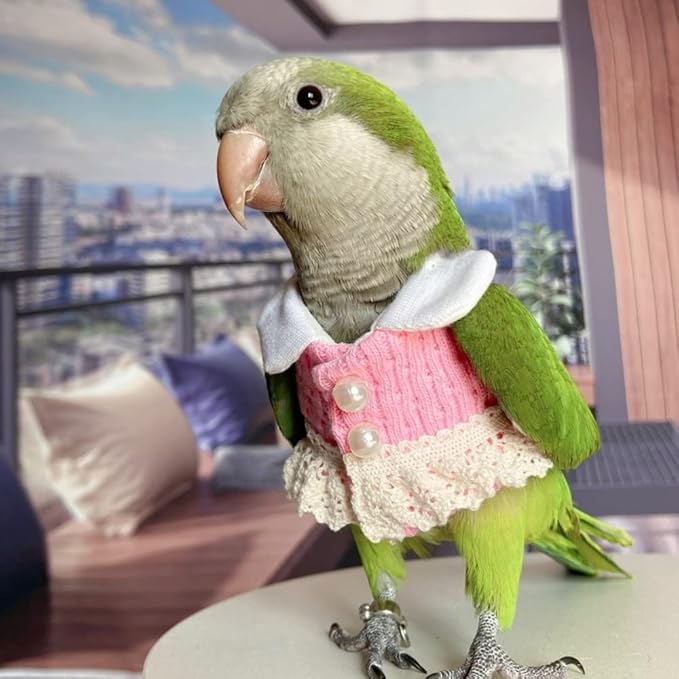 Bird Diaper Flight Suit - Pink Top Cosplay Photo Prop for Parrots, Lovebirds, Parakeets & Cockatiels (Lovebird Size)