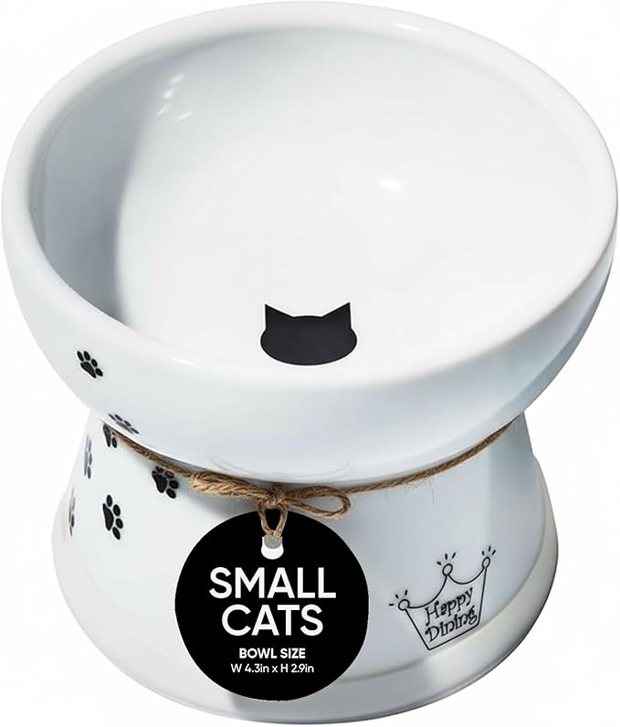 Necoichi Raised Cat Food Bowl – Ceramic Elevated Cat Bowl for Whisker & Neck Fatigue, Dishwasher Microwave Safe – Non-Slip & Anti Vomiting Ergonomic Design (Cats, Regular, 1-Cup Capacity)