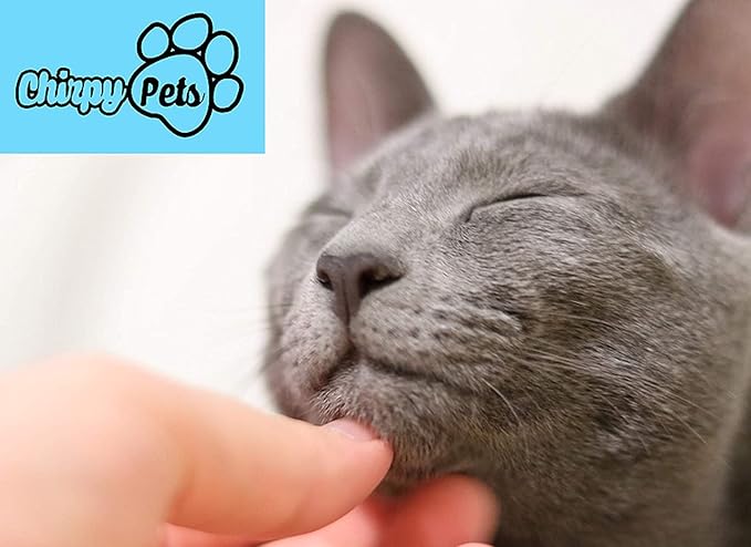 Pet Grooming Dog & Cat Brush For Shedding, Effective for Long & Short Hair Pet Grooming Tool, Reduces Dogs and Cats Shedding Hair By More Than 95%, The Professional Deshedding Tool (Small)