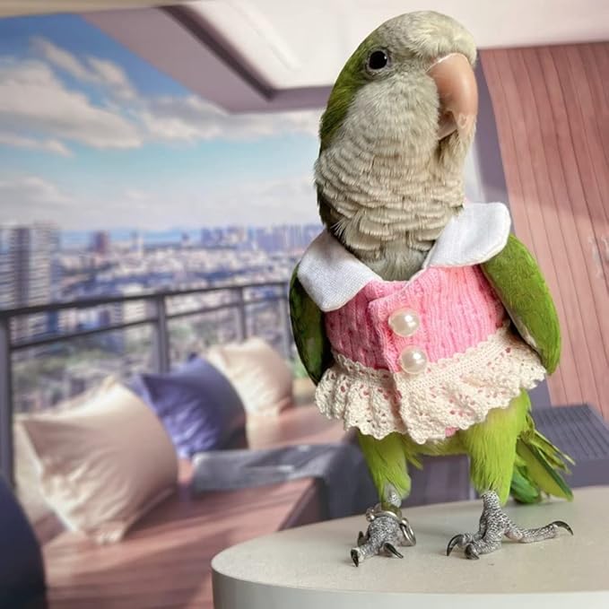 African Grey Bird Diaper Flight Suit - Pink Top Cosplay Photo Prop for Parrots, Lovebirds, Parakeets & Cockatiels