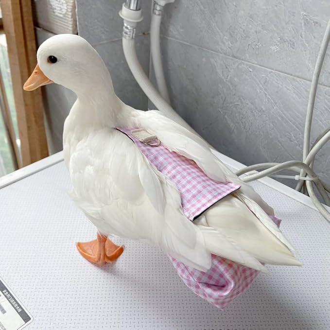 Duck Diapers, Chicken Diapers, Special Diapers for Poultry, Chicken, Duck and Goose Waterproof, Adjustable, Washable and Reusable Diapers，Poultry Supplies, Duck Supplies (0.55LB-0.77LB)