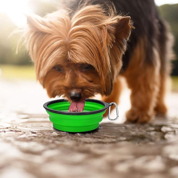 Kytely Large Collapsible Dog Bowls 2 Pack, 34oz Foldable Dog Travel Bowl, Portable Pet Water Food Bowl with Clasp, Pet Cat Feeding Cup Dish for Traveling, Walking, Hiking (Green+Purple)