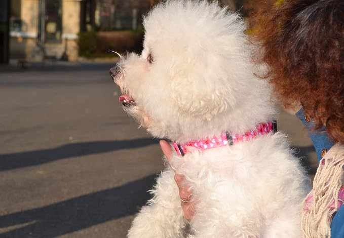 Dog Collar - Adjustable Heart Dog Collar - Love Theme - Perfect for Small Medium Large Dogs(Pink Heart,M)