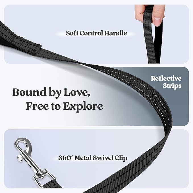 rabbitgoo Dog Harness Small Sized and Leash Set, Step in Soft Light Puppy Vest, Breathable Mesh Pet Harness, Reflective for Safe Easy Walking, Black XS
