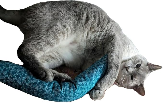 15" Catnip Cat Kicker Toys/Kitty Kick Sticks/Cat-Nip Kick Sticks (Turquoise) (Kickers Filled with 1 oz Premium Canadian Catnip)
