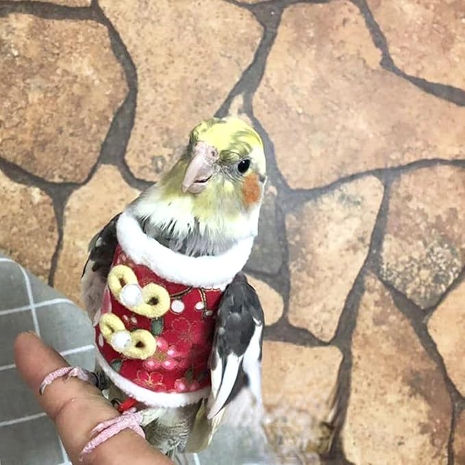 Bird Clothes, Bird Diapers, Handmade Pullover Sweaters Flight Suits Winter Warm Clothing, Role-Playing Photos Prop (Pink,L)