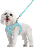 rabbitgoo Dog Harness Small Sized and Leash Set, Step in Soft Light Puppy Vest, Breathable Mesh Pet Harness, Reflective for Safe Easy Walking, Mint Blue M