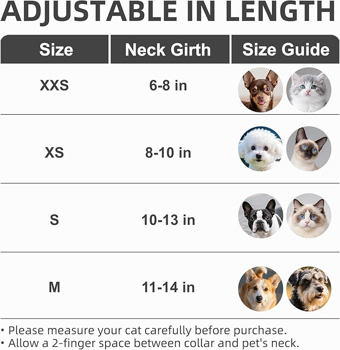 PUPTECK Basic Adjustable Cat Collar with Bling Diamond and Double Bells, for Kitten and Small Puppy, Fashion and Shining Dog Rhinestone Collars, 8-10in, Silver