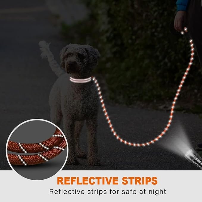 Taglory Rope Dog Leash 5 FT with Comfortable Padded Handle, Highly Reflective Threads Leash and Anti-Tangle Clip for Walking Small Dogs, 3/8 inch, Orange