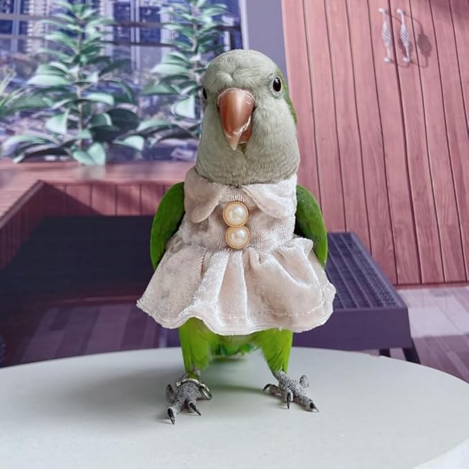 Bird Costume Bird Diaper Flight Suit Parrot Velvet Fleece Skirt Clothes Cosplay Photo Prop for Conure Lovebird Parakeet Cockatiel Macaw Small Animals Apparel (White,Small)