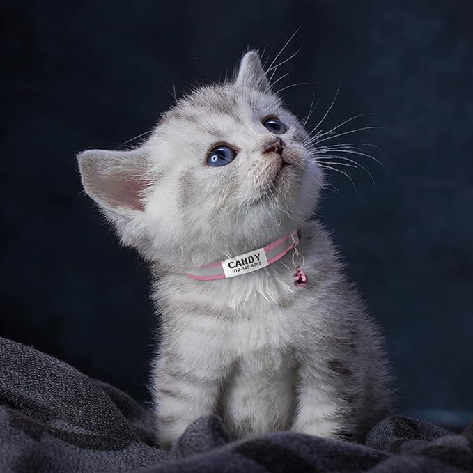 TagME 2 Pack Cat Collar with Name Tag, Personalized Reflective Cat Collar Breakaway with Bell for Boy & Girl Kitten, Pink