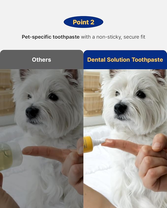 PETHROOM Pet Dental Toothpaste for Dogs & Cats – Fresh Breath & Plaque Control, Gentle Daily Dental Care – Melon Flavor, Net Wt 2.1 oz