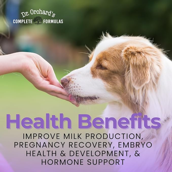 Dr Orchards Pregnancy Pro Dog Prenatal Vitamins - Premium Dog Supplement for Pregnancy, Prenatal + Postnatal, Lactation and Newborn Health Support, 90 Ct
