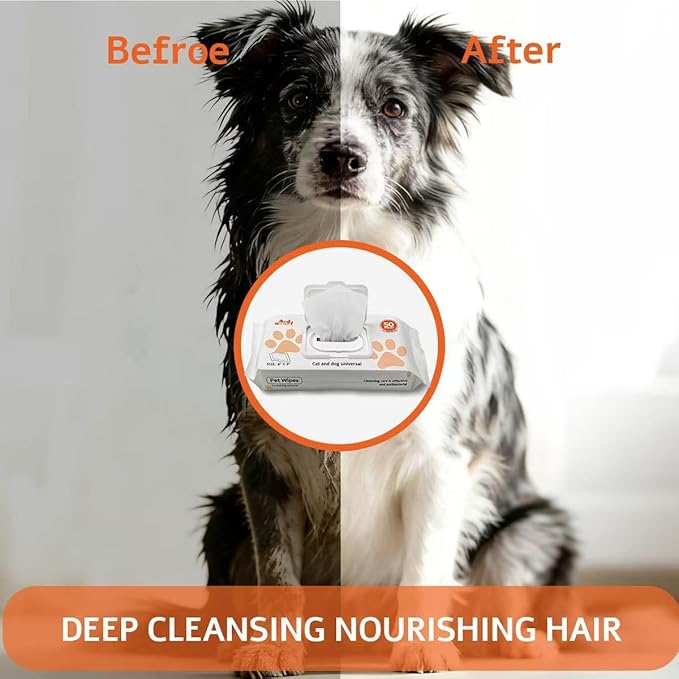 Pet Grooming Wipes 50 Count, Jumbo Size 8" x 9", Lick-Safe, Alcohol-Free Deodorizing Wipes for Dogs & Cats with Sensitive Skin