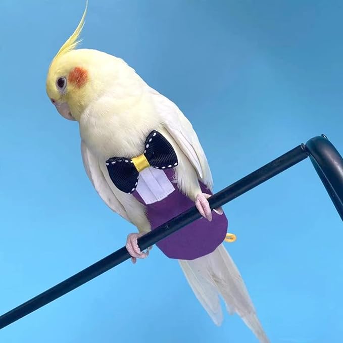 Bird Diaper Harness Flight Suit Clothes with Flying Leash for Parrots Cockatiel Pet Birds, Parrot Clothes, Bird Training Nappy Suit Liners Clothes (L, Purple)