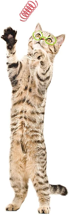 Tamu style Cat Spring Toys (120 Pack), Plastic Coils for Swatting, Biting, Hunting, and Active Healthy Play, Colorful 2 Inch Spirals