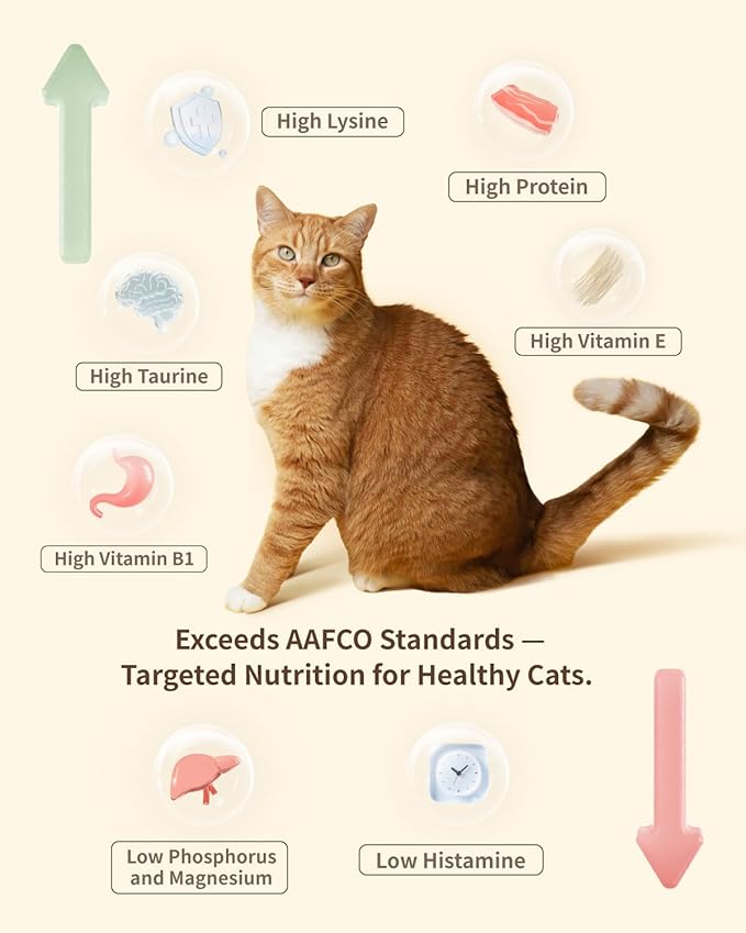 Freeze-Dried Cat Food, 97% Animal Origin Soft Dry Food for Cats Kitten, High Protein Healthy Freeze Dried Cats Raw Treat & Topper (Chicken & Duck - 14 Ounce)