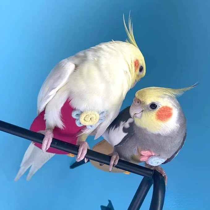 Bird Diaper Harness Flight Suit Clothes with Flying Leash for Parrots Cockatiel Pet Birds, Parrot Clothes, Bird Training Nappy Suit Liners Clothes (Small,Rose Red)