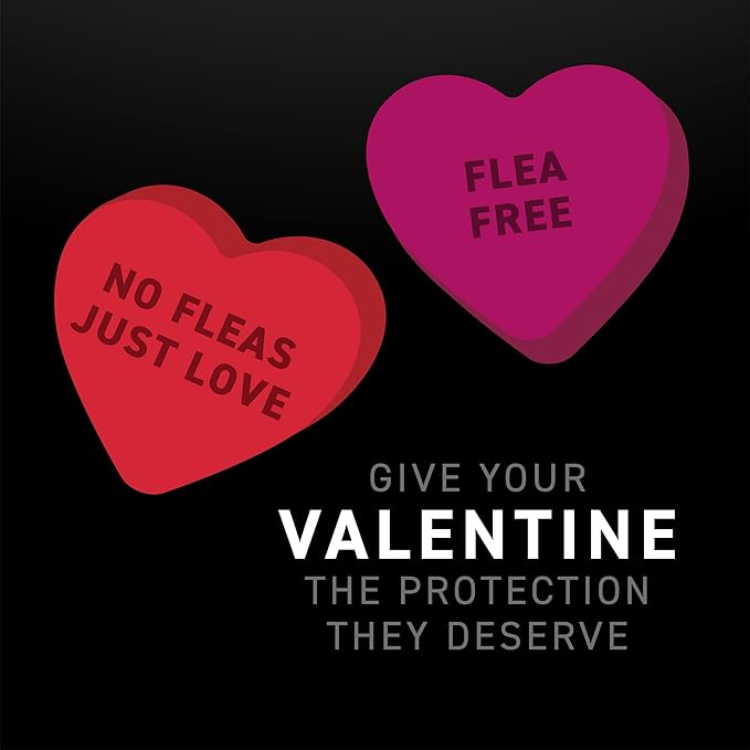 NEXTSTAR Flea and Tick Prevention for Cats, Repellent and Control, Fast Acting Waterproof Topical Drops, Flea Prevention for Cats Over 3.5 lbs, 3 Monthly Doses