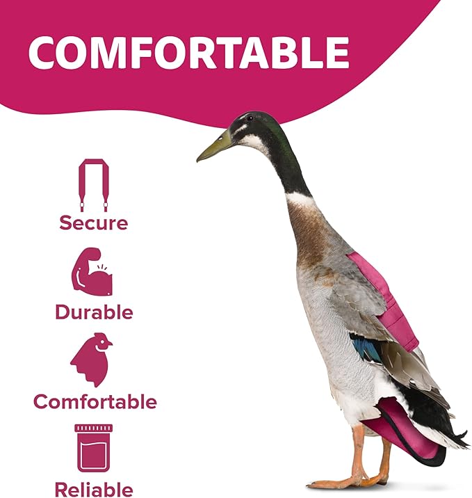 Hen Holster Starter Kit - Wrap-Around Runner Duck Diaper w/ Removable Liner & Fixed Tab - Durable, Secure Fit, Easy-to-Wear - Essential Duck Supplies for Real Ducks, Made in USA - Pink