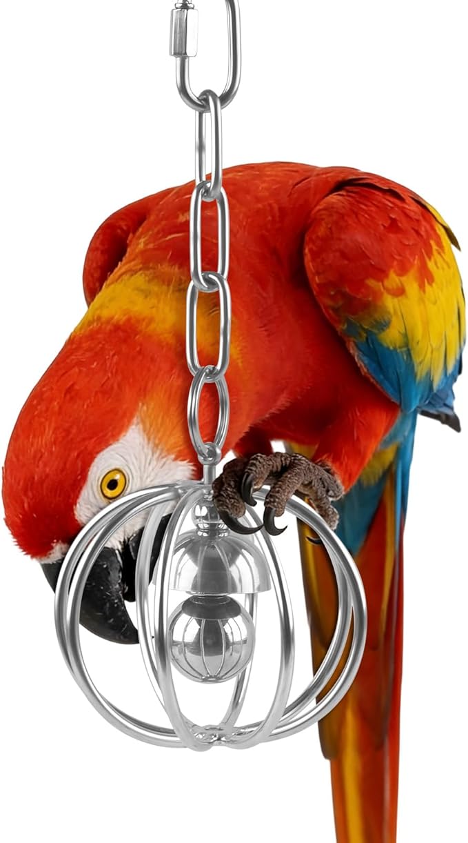 Heavy-Duty Stainless Steel Bird Toy for Parrots, Durable Hollow Foraging Ball with Detachable Chain, Chew-Proof Parakeet Training Toys for Macaws, Amazons, Eclectus, African Greys, Cockatoos