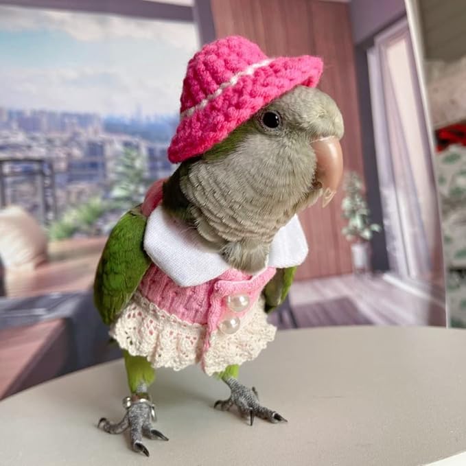 Eclectus Bird Diaper Flight Suit - Pink Top Cosplay Photo Prop for Parrots, Lovebirds, Parakeets & Cockatiels