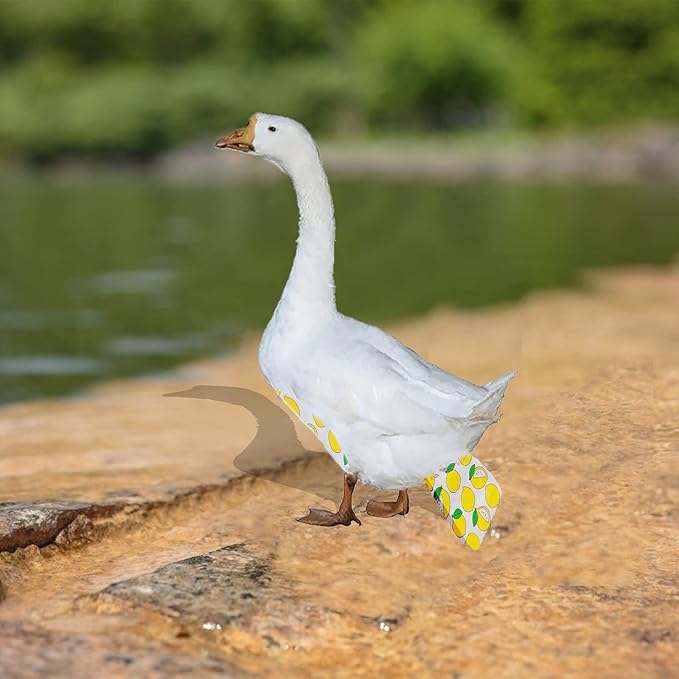 Chicken Duck Goose Diaper Washable Pet Fruit Print Diapers for Hens Roosters Poultry (Lemon, Large)