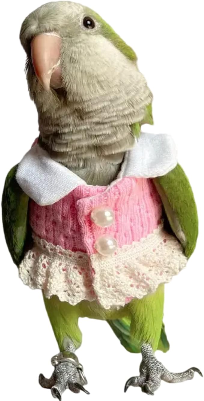 Bird Diaper Flight Suit - Pink Top Bird Clothes Cosplay Photo Prop for Parrots, Lovebirds, Parakeets, Cockatiels & Small Animals (Senegal)