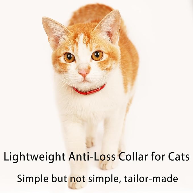 Minimalist Stretch Lightweight Custom Engraved Cat Collar with Name Tag Personalized Cat Collars for Kitten Boy & Girl Cats (Champagne Gold, Collar with Nameplate)