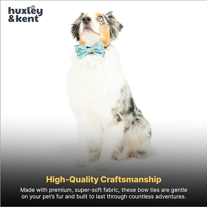 Huxley & Kent Pet Bow Tie for Dogs & Cats - Spring Easter Adjustable Hook & Loop Collar Accessory - Cute & Comfortable for Holidays & Celebrations - Chicks & Eggs, Large