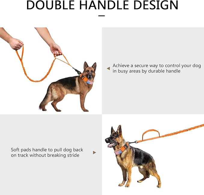 DAGANXI Tactical Dog Collar, Adjustable Military Training Nylon Dog Collar with Control Handle and Heavy Metal Buckle for Medium and Large Dogs, with Patches and Airtags Case (Orange-Set, L)