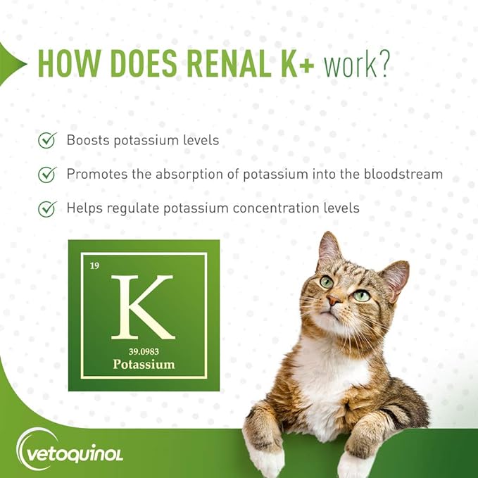 Vetoquinol Renal K+ (Potassium Gluconate) Potassium Supplement Powder for Dogs and Cats, 3.5oz