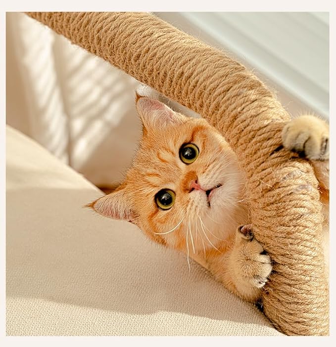 Sisal Rope for Cat Scratchers, Cat Tree,Cat Scratching Sisal Rope Natural Jute Hemp Rope, Ideal for Replace Scratching Post, Repair Cats Tree, DIY Projects 6mm (50m/164 Feet)