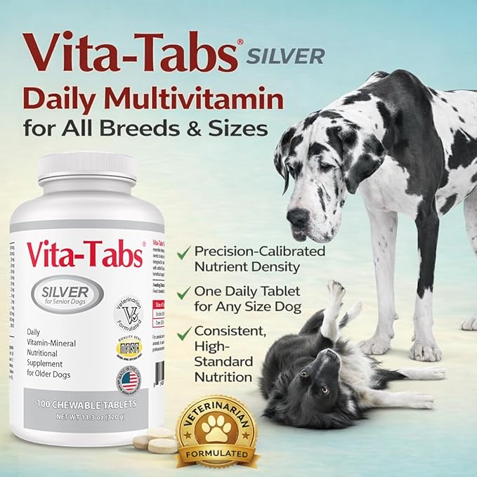Silver - Vitamins, Minerals, Nutrients - Support for Senior Dog - Supplement for Healthy Bone, Joint, Energy, Immune System - 100 Chewable Tablets