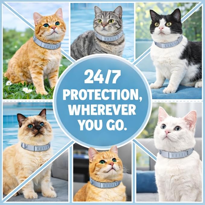 Cat Flea and Tick Collar | Flea Collar & Tick for Cat Natural Long-Lasting 8 Month Protection, Waterproof Flea Collar for Cats & Adjustable Fit Includes Tick Removal Tool & Flea Comb (2 Pack)