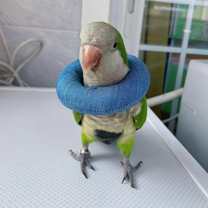 Parrot Neck Collar Pet Anti-bite Picking Feather Healing Protective Neck Cover Collar for Birds Conures Cockatiels Lovebirds Budgies Cockatoos African Grey Random Color (2M)