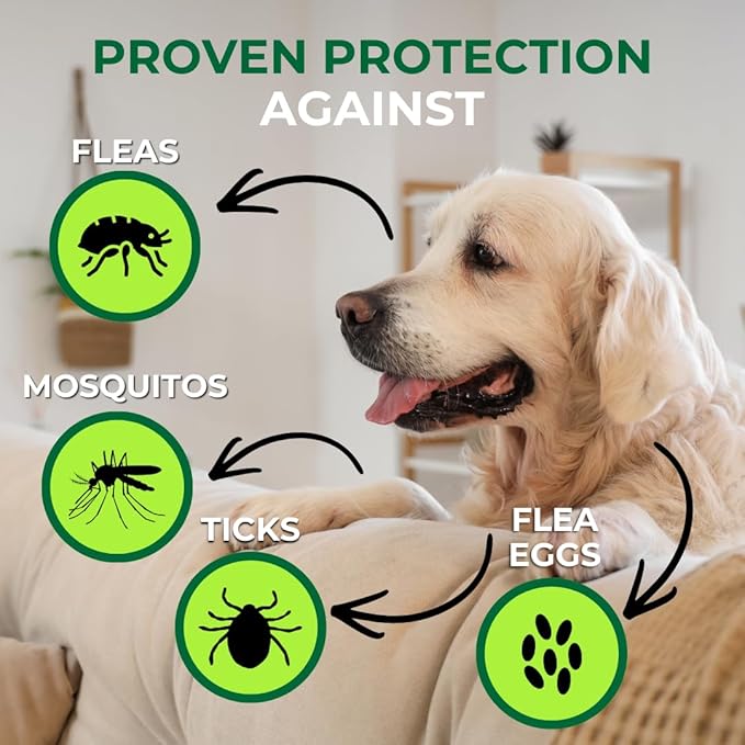 Nature’s Dome Outdoor Flea & Tick Spray – 16 oz – Kills & Repels Fleas, Ticks, Larvae & Eggs – Plant-Based Pest Control – Safe for Pets, Kids & Plants – Ready-to-User