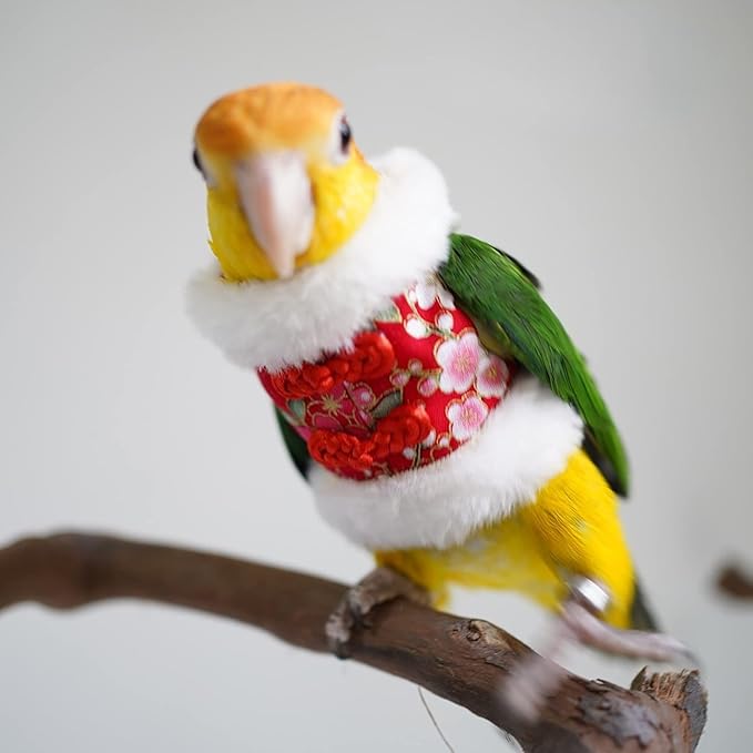 Bird Flight Suit & Clothes Cosplay Photo Prop for Parrots, Parakeet, Cockatiel & Sun Conure - Bird Hoodie for Small Animals (Red, X-Large)