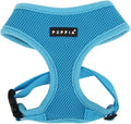 Puppia Soft Dog Harness No Choke Over-The-Head Triple Layered Breathable Mesh Adjustable Chest Belt and Quick-Release Buckle, Sky Blue, Small