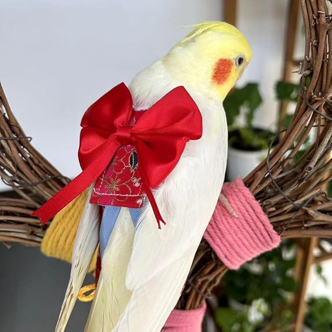 Bird Flight Suits Diapers, Parrot Flight Suits Diapers for Quaker Parakeets Cockatiels Conures Macaw African Grey, Bird Diaper, Parrot Clothes (Pink B,XS)