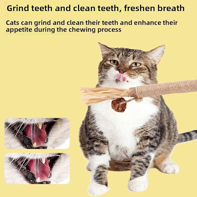 Vintage & Haven 3 Pcs Natural Silvervine Sticks Cat Toys, Catmint Silvervine Blend Sticks, Kittens Chew Toys for Teeth Cleaning, Matatabi Dental Care Cat Treat, Consumable Kitty Lick Toys (3 Pcs)