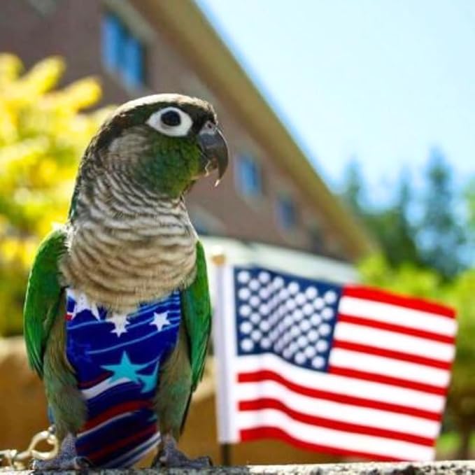 Avian Fashions FeatherWear FlightSuit Colossal(15) Bird Diaper in Fireworks